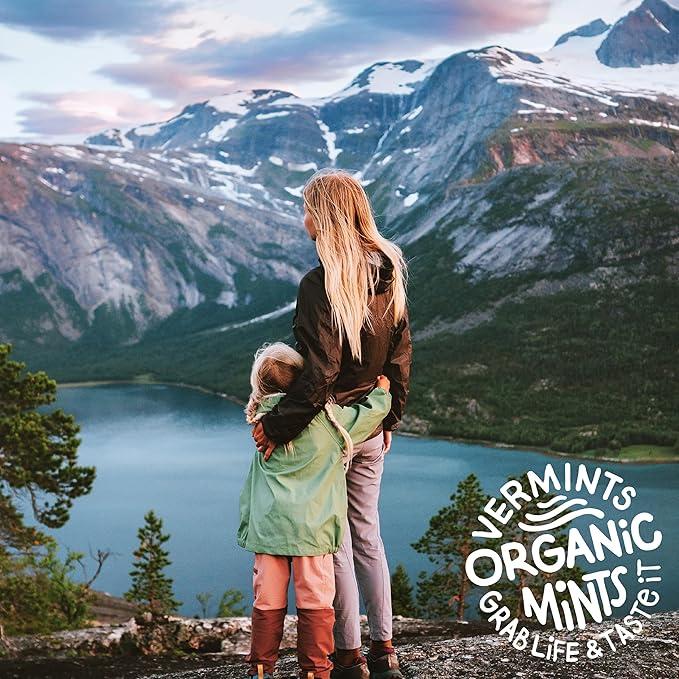VerMints Organic Breath Mints GingerMint - Real Ginger Flavored Candies - Travel Size Tin - Non-GMO, Nut Free, Gluten Free, Vegan, Kosher Organic Candy Mints - 1.41oz Tins (Pack of 6)