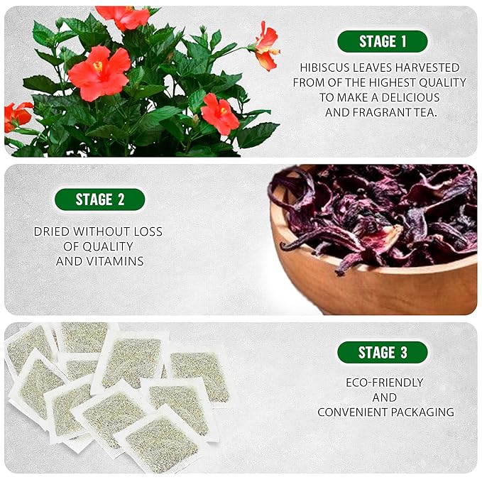TeaDreamTea Hibiscus Tea Bags | 100 Bleach-Free Tea Bags | Caffeine Free | Dried Hibiscus Flowers | Hibiscus Flower Tea | Dried Flower Tea | Brew Hot or Iced |Herbal Hibiscus Tea