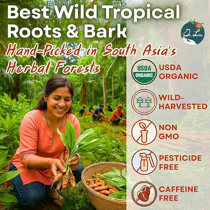 Dr. Lu’s Organic Turmeric Ginger Cinnamon Tea | Tropical Wild Roots & Bark from South Asia | 100% Natural Digestive & Warming Support | 30 x 3g Potent Root Blend Corn Fiber Pyramid Bags (No Plastic, No Nylon)