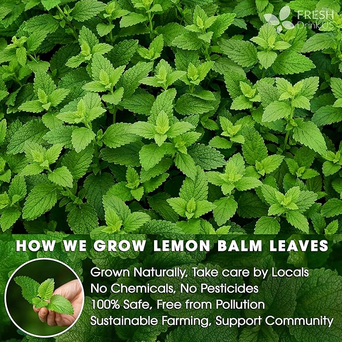 FreshDrinkUS, Lemon Balm Tea Bags | 75 Count |100% Pure Melissa officinalis – Naturally Calming Herbal Tea | Caffeine-Free, Premium Quality, Refreshing Flavor, Sustainably Sourced