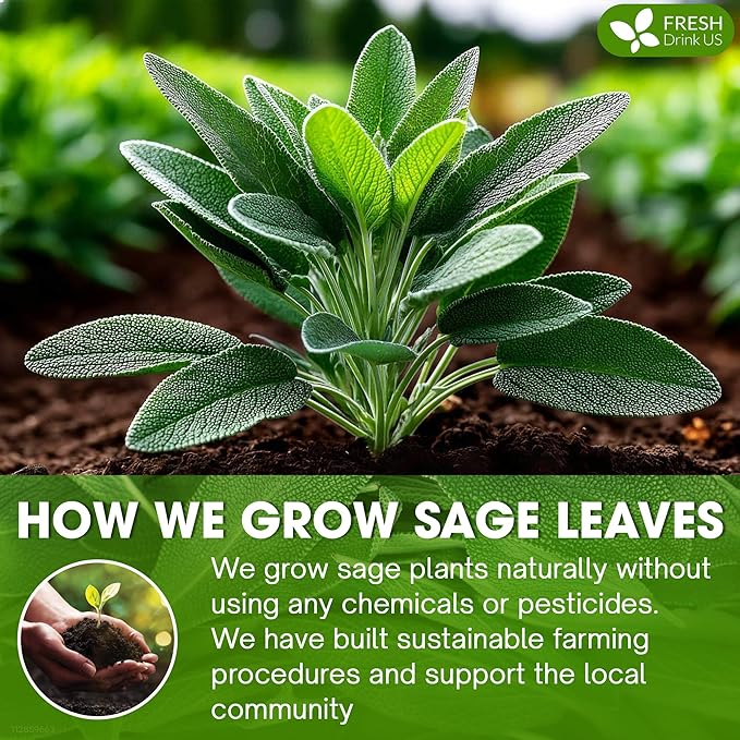 FreshDrinkUS, Sage Leaf Powder 4oz – Premium Culinary Herb, Pure Ground Sage Leaves for Cooking, Baking & Herbal Infusions – Resealable Pouch