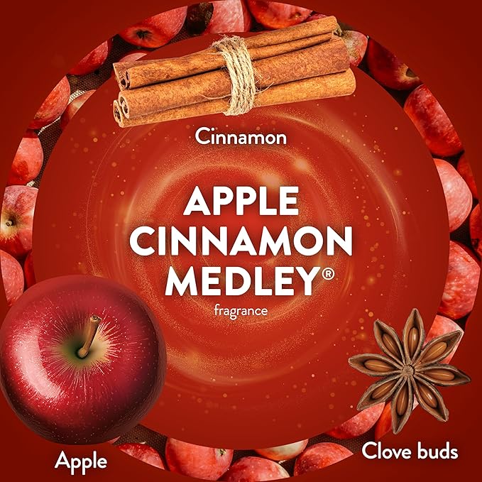 Air Wick Scented Oils 0+7 Apple Cinnamon Medley
