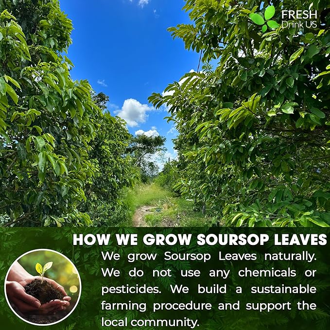 FreshDrinkUS, Premium 10oz Soursop Leaf Powder, 100% Natural and Pure from Soursop Graviola Leaves, Hoja Guanabana, No Additives, No Gluten, No Sugar, Vegan
